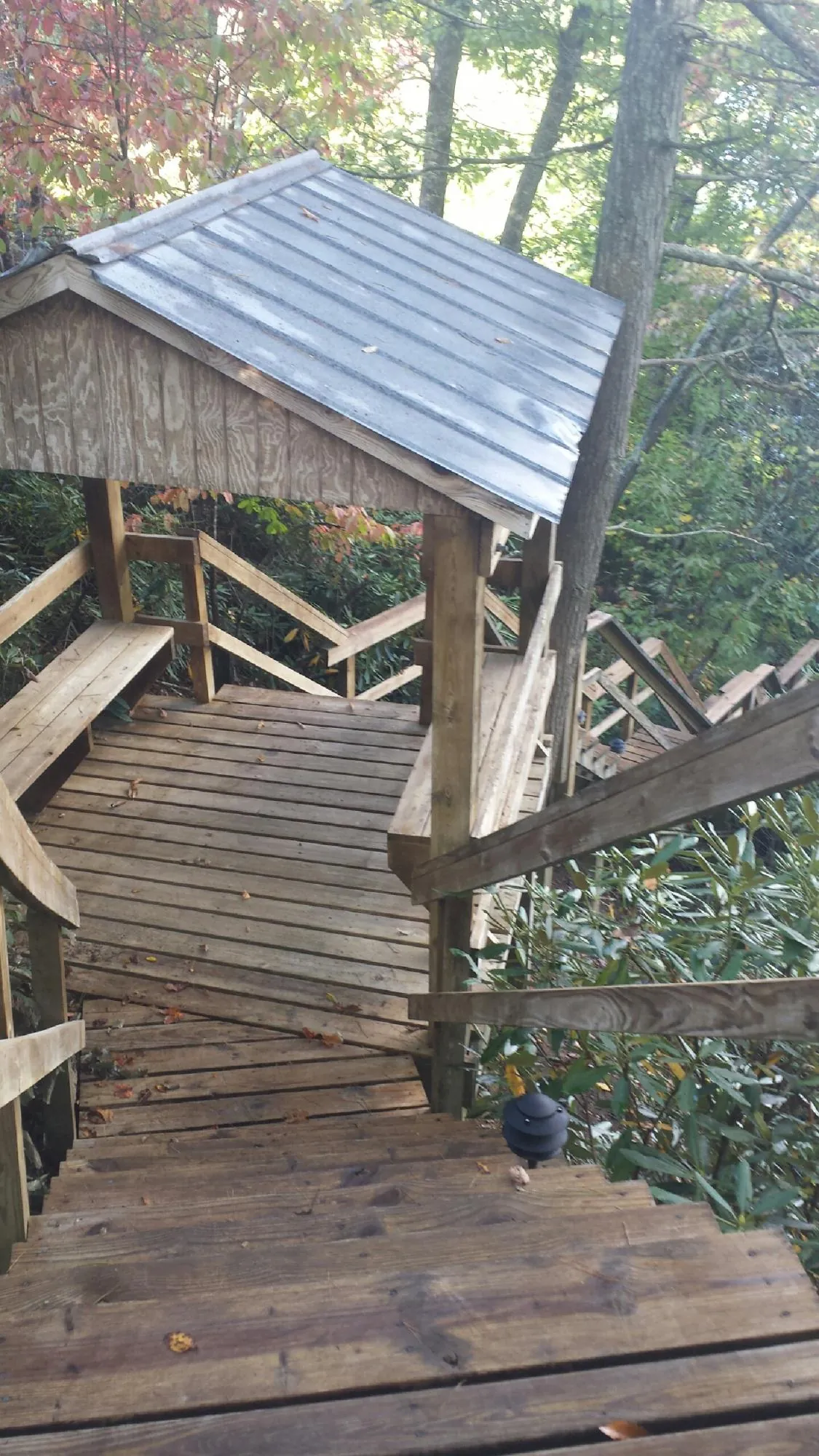 Metal roofed shelter over wooden steps on a wooded walkway — Skylight Repair & Installation work by our crew in Maysville