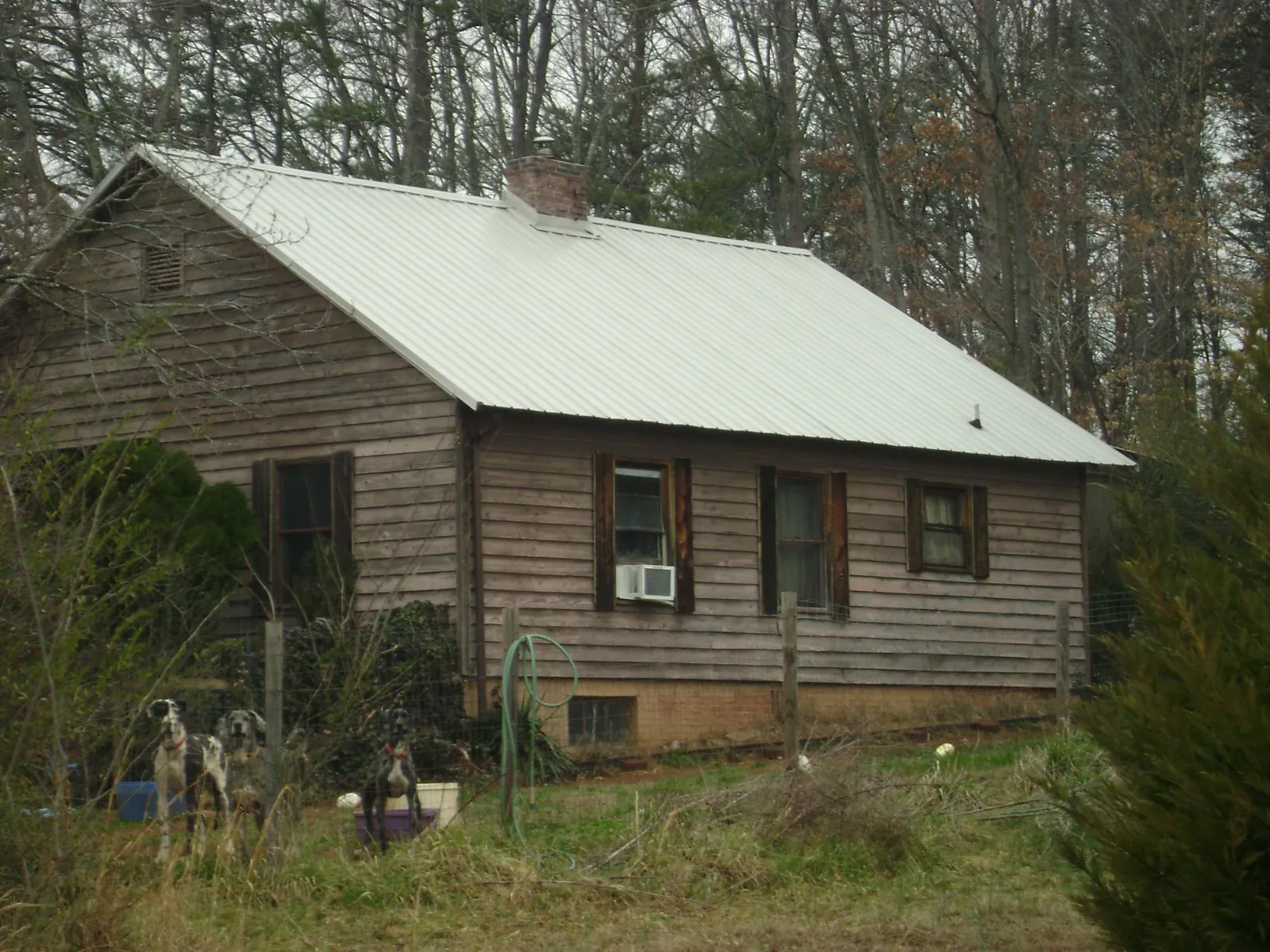 White metal roof on an old wood sided farmhouse, from a Metal Roof Installation job in Maysville